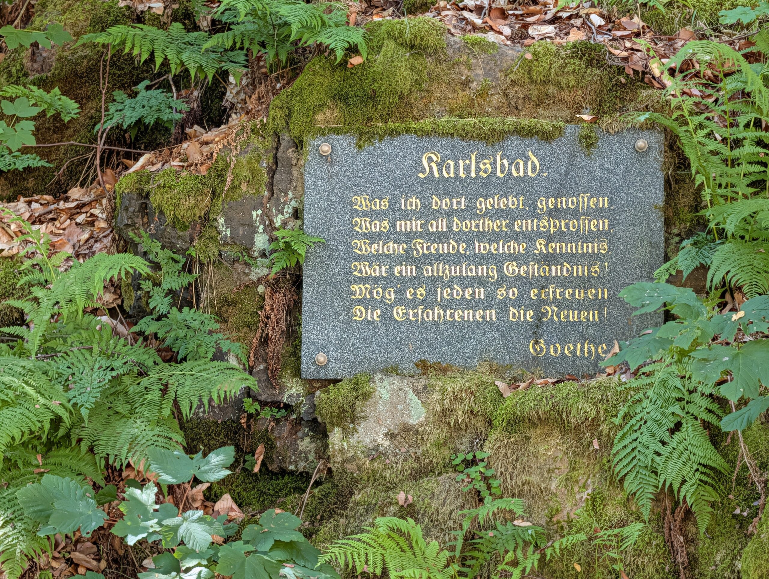 Goethe-Gedenktafel mit goldfarbener Inschrift an einem moosbewachsenen Felsen zwischen Farnen.