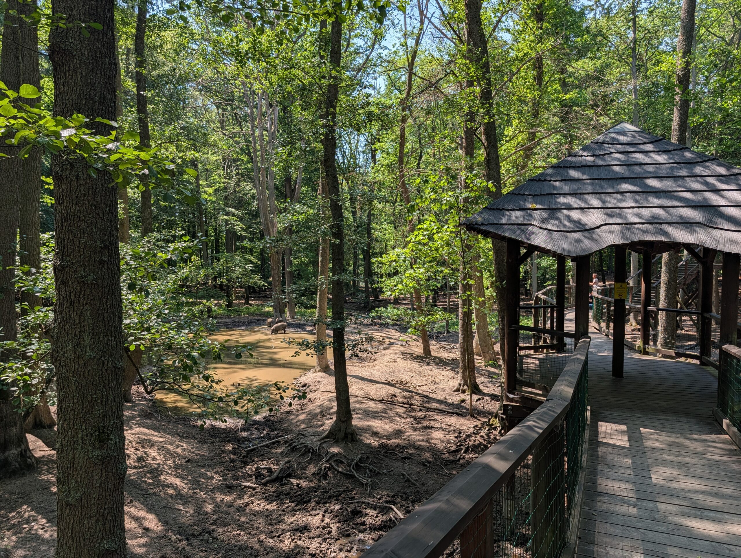Überdachter Aussichtspunkt der Wildpark Hochbrücke im Wildpark St. Linhart (Obora Svatý Linhart) in Karlsbad.