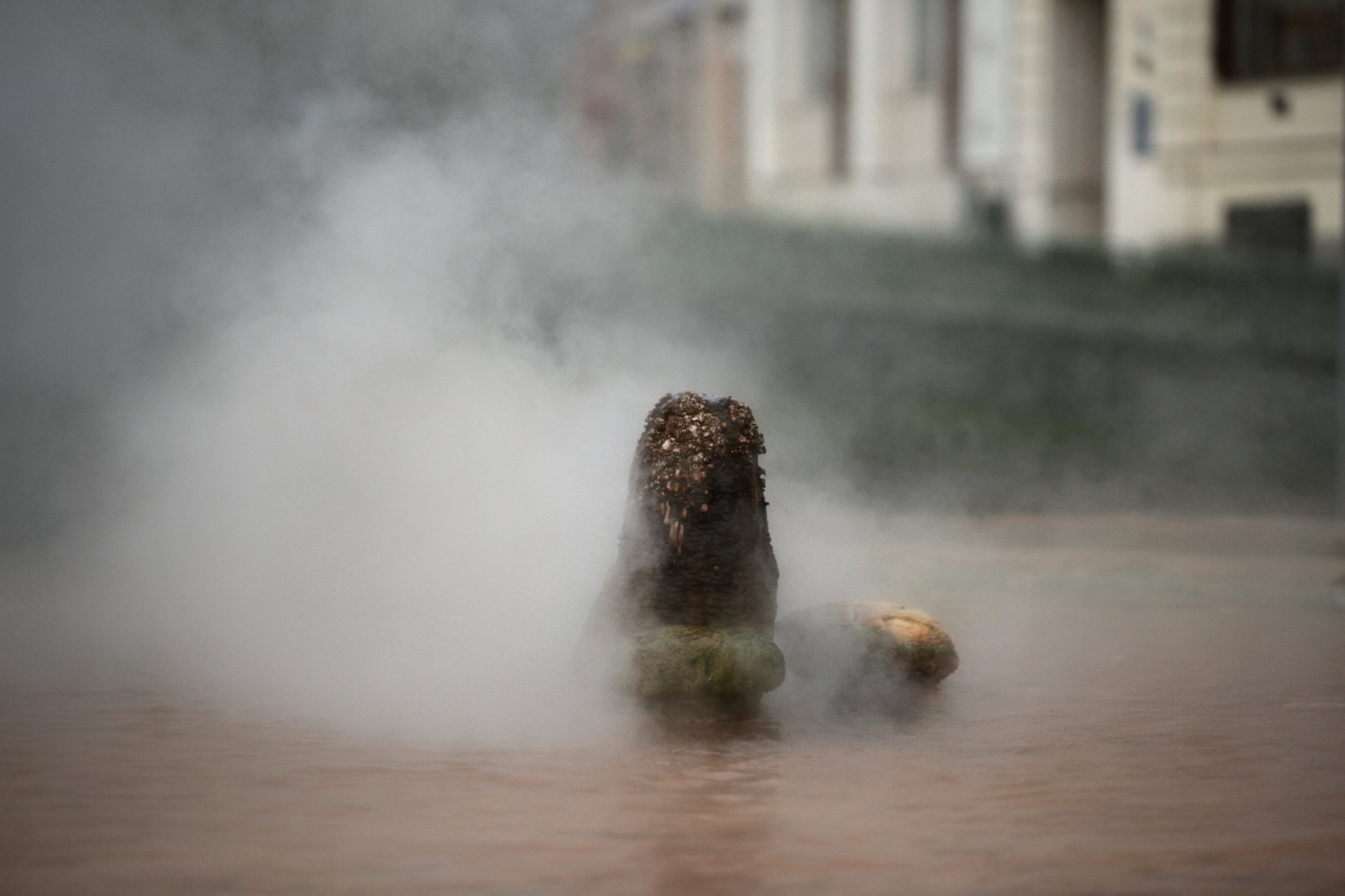 Dampfender Thermalwasseraustritt mit Mineralablagerungen in Karlsbad