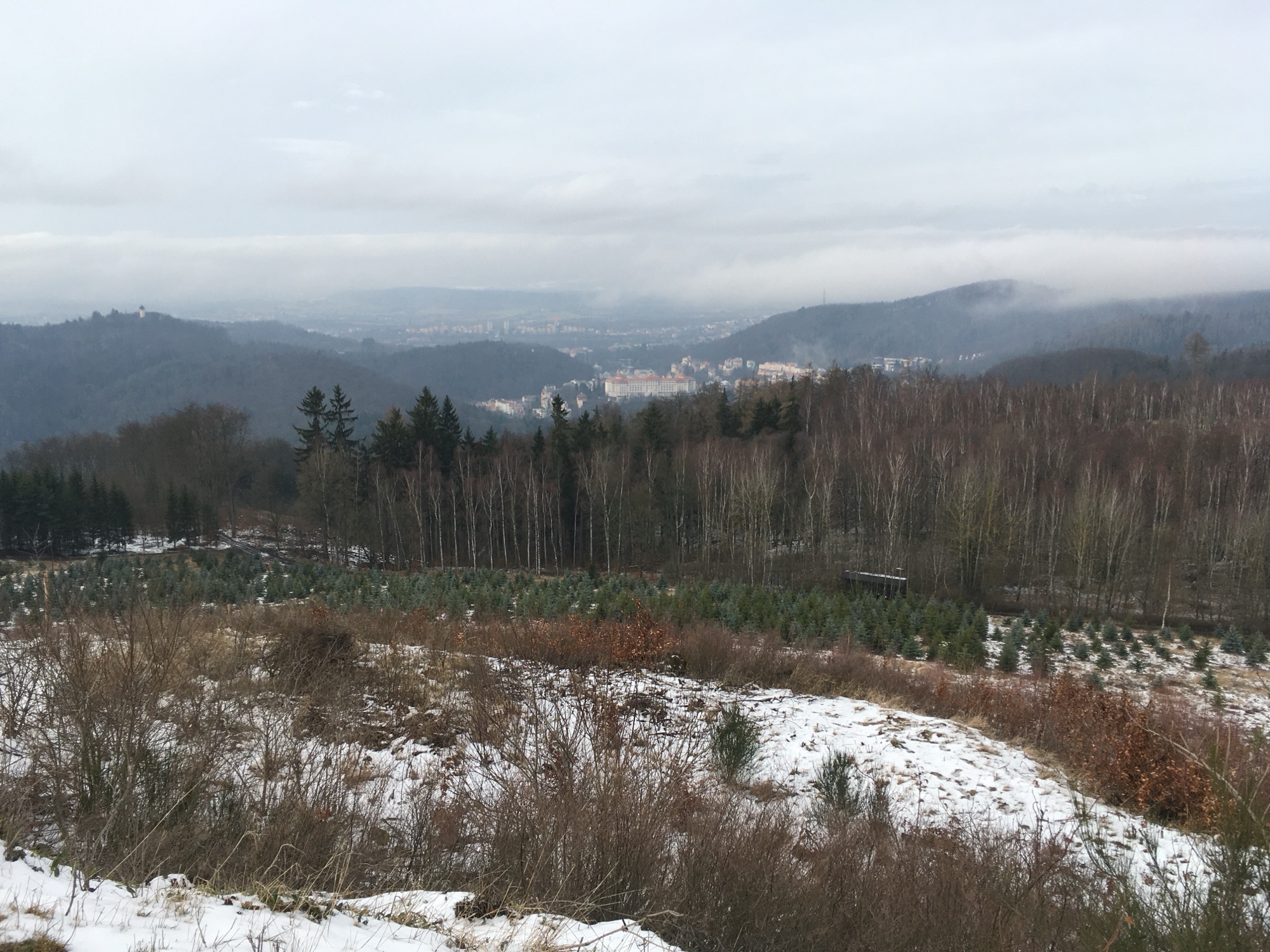 Winterlicher Blick von der Vítkova hora über Wälder auf Karlsbad im Tal